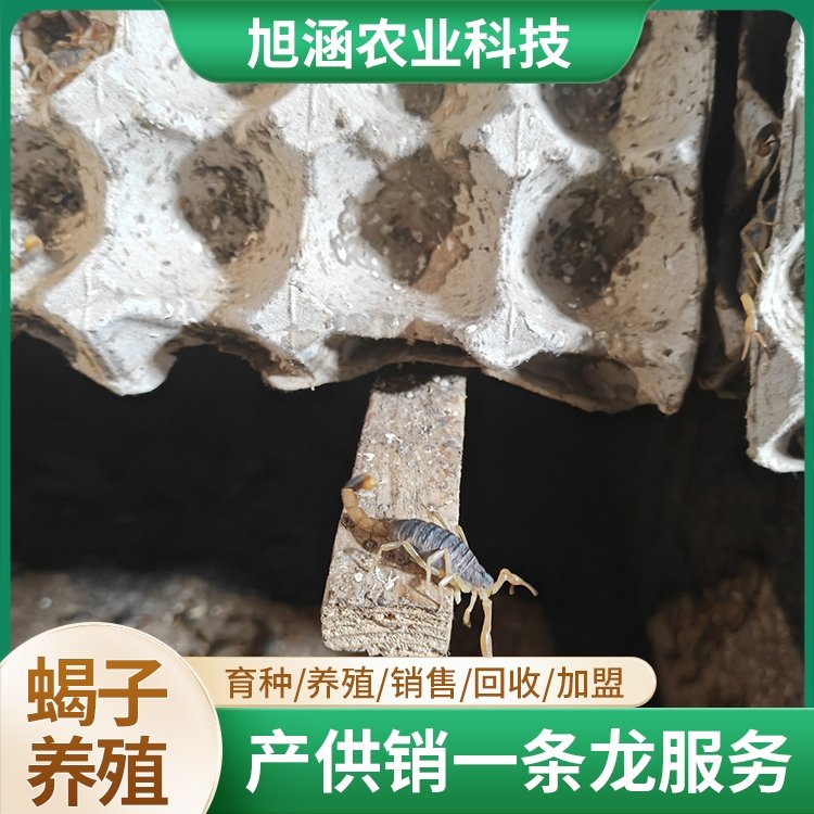 u-359452575,2049877258-fm-199-app-68-f-JPEG