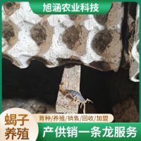 u-359452575,2049877258-fm-199-app-68-f-JPEG