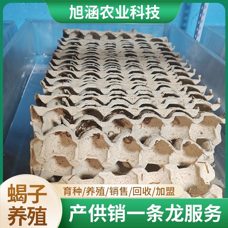 u-2770663302,3705164169-fm-199-app-68-f-JPEG