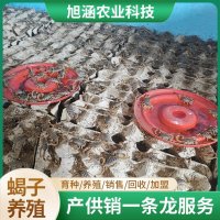 u-3497821003,3946623891-fm-199-app-68-f-JPEG