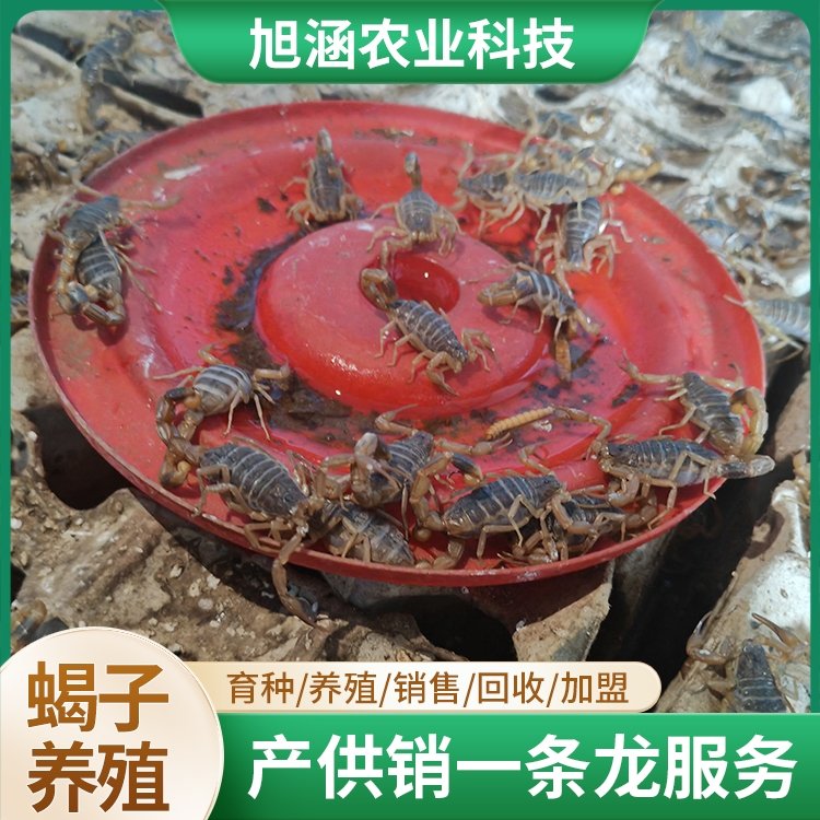 u-767797485,324756739-fm-199-app-68-f-JPEG