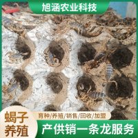 u-824894740,2211611111-fm-199-app-68-f-JPEG