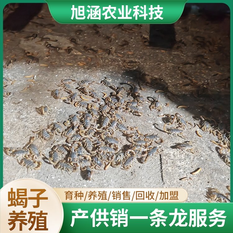 u-1156891176,110398634-fm-199-app-68-f-JPEG