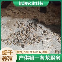 u-1156891176,110398634-fm-199-app-68-f-JPEG