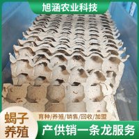 u-1739644497,702980807-fm-199-app-68-f-JPEG