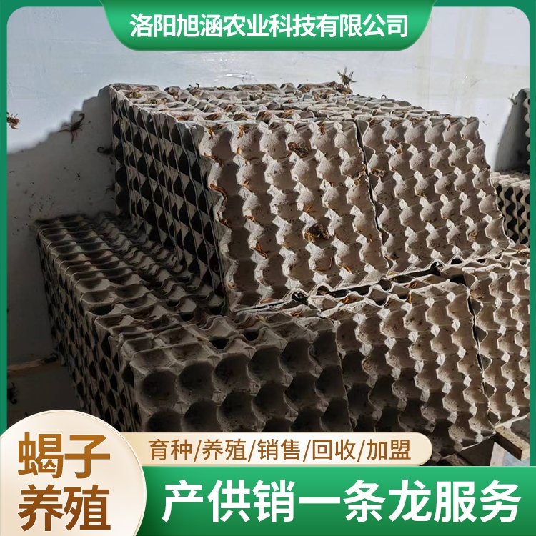 u-271637144,1273508283-fm-199-app-68-f-JPEG