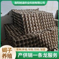 u-271637144,1273508283-fm-199-app-68-f-JPEG