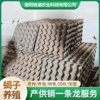 u-1059004450,4115602222-fm-199-app-68-f-JPEG