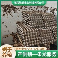 u-2949910931,935421647-fm-199-app-68-f-JPEG