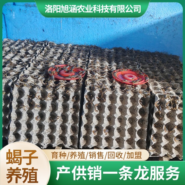 u-1287480601,1840680596-fm-199-app-68-f-JPEG