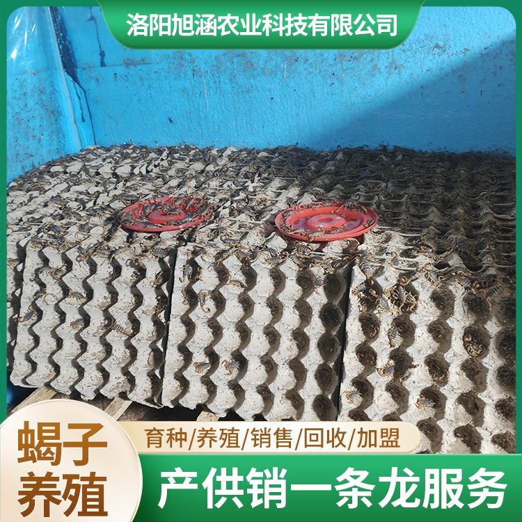 u-3939352309,2920316005-fm-199-app-68-f-JPEG