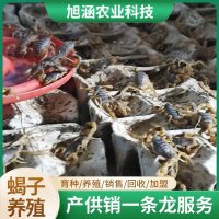 u-900086826,2830829808-fm-199-app-68-f-JPEG