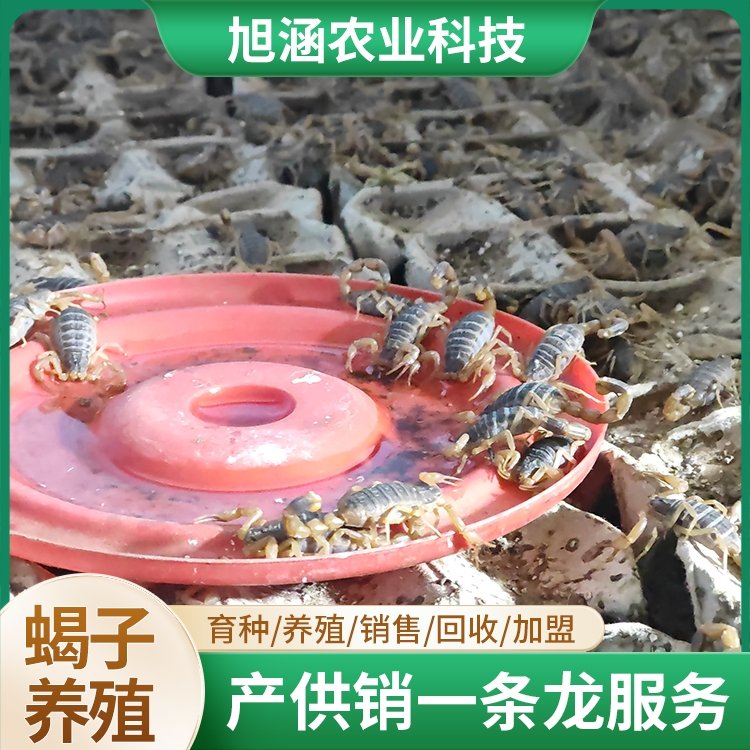 u-1612441132,1374193249-fm-199-app-68-f-JPEG