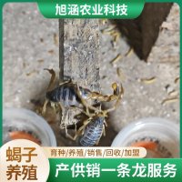 u-1999746245,2149387857-fm-199-app-68-f-JPEG