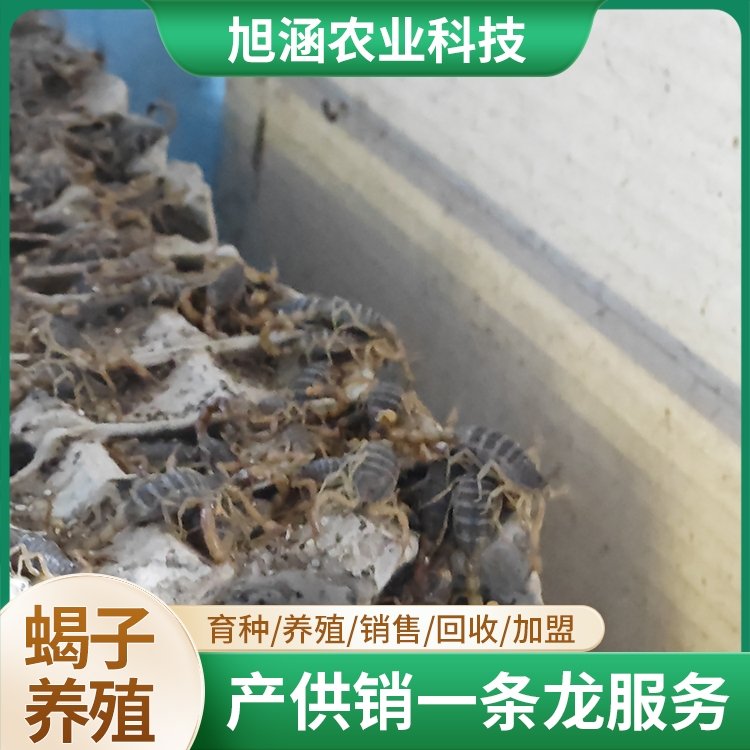 u-2053297625,1894037550-fm-199-app-68-f-JPEG