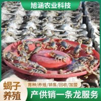 u-3176859017,4046616187-fm-199-app-68-f-JPEG