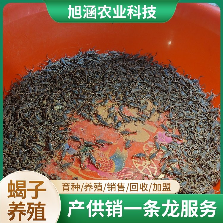 u-1727583930,3120744289-fm-199-app-68-f-JPEG