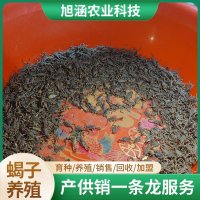 u-1727583930,3120744289-fm-199-app-68-f-JPEG