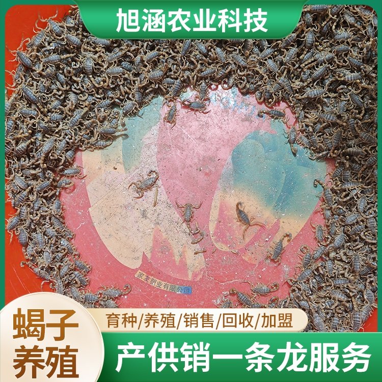 u-410415262,3819107663-fm-199-app-68-f-JPEG