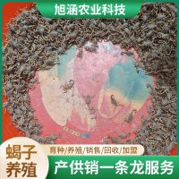 u-410415262,3819107663-fm-199-app-68-f-JPEG