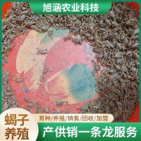 u-2500058320,1414866973-fm-199-app-68-f-JPEG