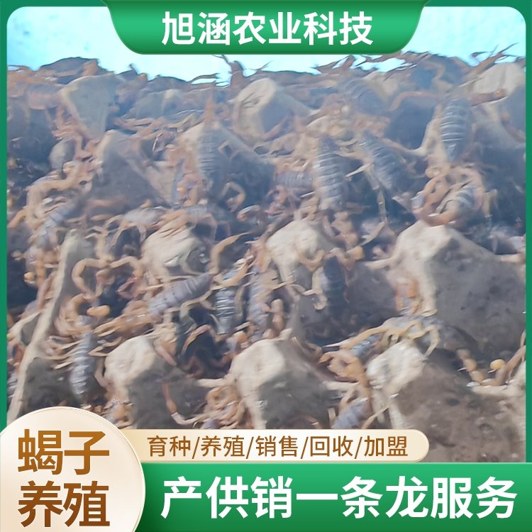 u-295168192,3761658003-fm-199-app-68-f-JPEG