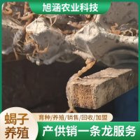 u-903827468,2303435695-fm-199-app-68-f-JPEG