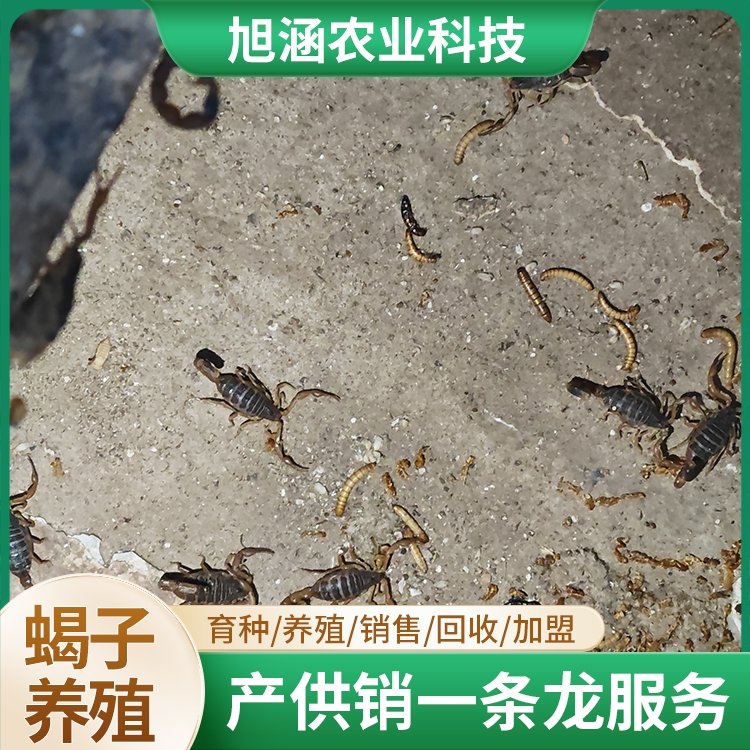 u-1487663981,2722994705-fm-199-app-68-f-JPEG