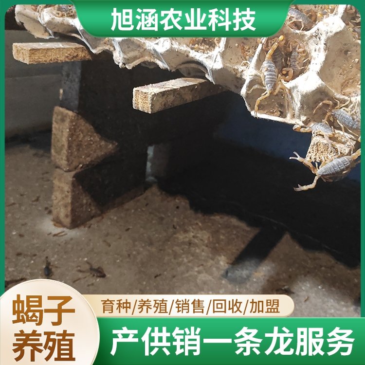 u-2576877056,269822250-fm-199-app-68-f-JPEG