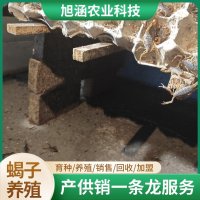 u-2576877056,269822250-fm-199-app-68-f-JPEG