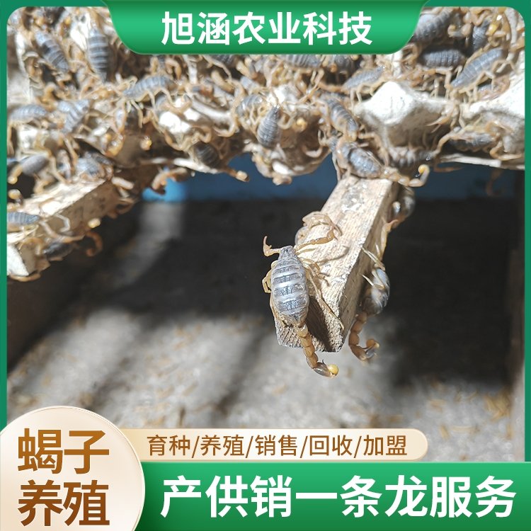 u-3056198976,3670886166-fm-199-app-68-f-JPEG