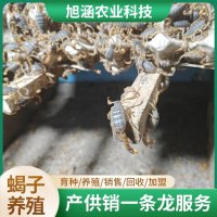 u-3056198976,3670886166-fm-199-app-68-f-JPEG