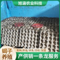 u-3421000267,2412807347-fm-199-app-68-f-JPEG