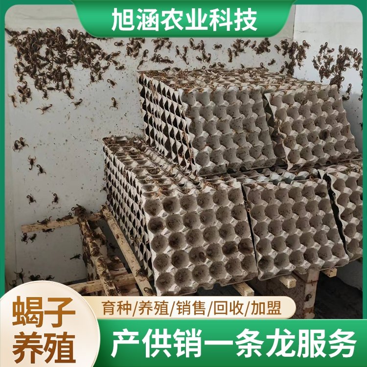 u-3753155909,2464572225-fm-199-app-68-f-JPEG