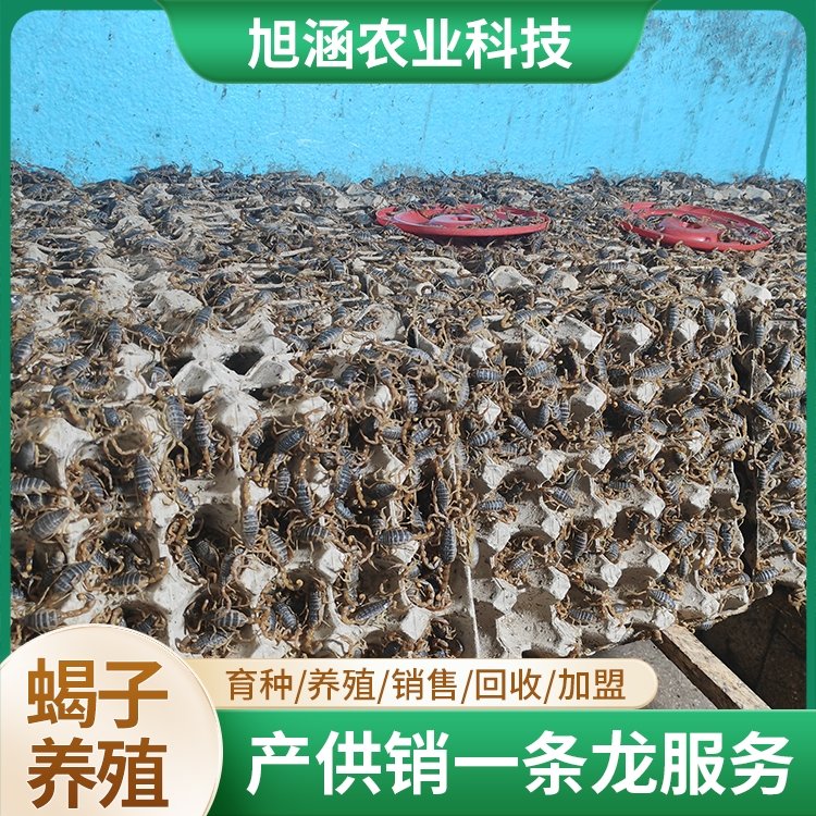 u-2237377917,325288776-fm-199-app-68-f-JPEG