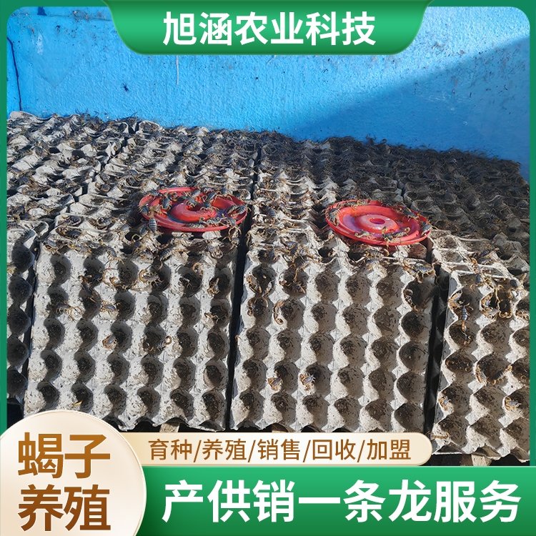 u-2317614484,1483233028-fm-199-app-68-f-JPEG