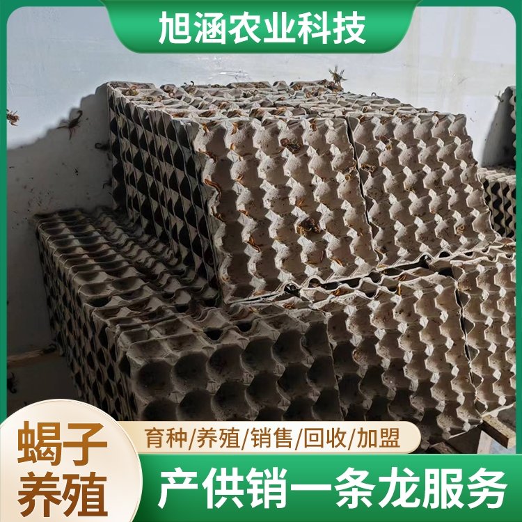 u-2548435433,3990513653-fm-199-app-68-f-JPEG