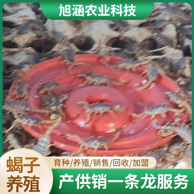 u-881435876,556834584-fm-199-app-68-f-JPEG