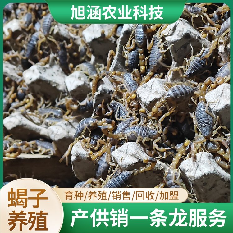 u-3371773892,2594949265-fm-199-app-68-f-JPEG