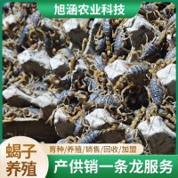 u-3371773892,2594949265-fm-199-app-68-f-JPEG