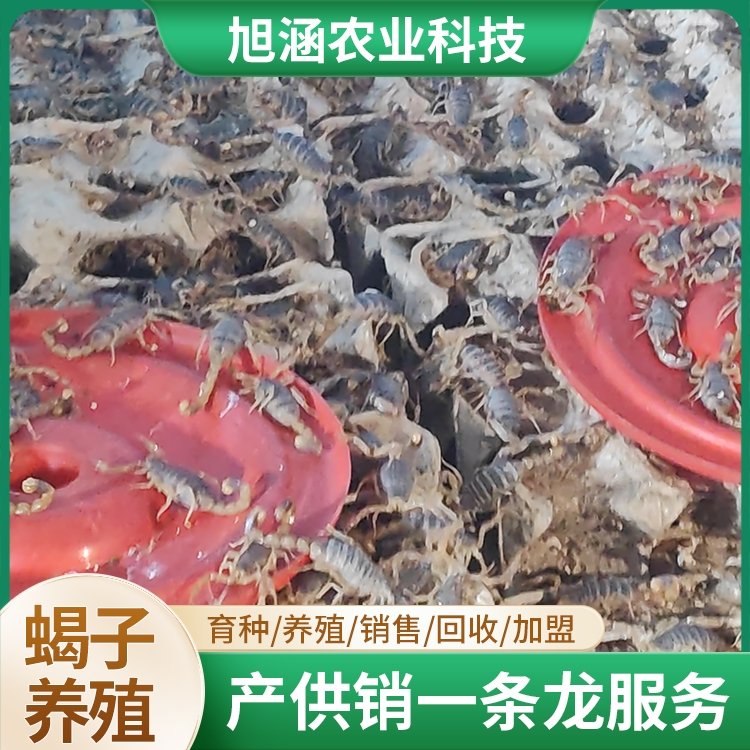 u-2968087841,2878805124-fm-199-app-68-f-JPEG