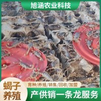 u-2968087841,2878805124-fm-199-app-68-f-JPEG