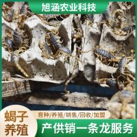 u-4217408822,2049936515-fm-199-app-68-f-JPEG