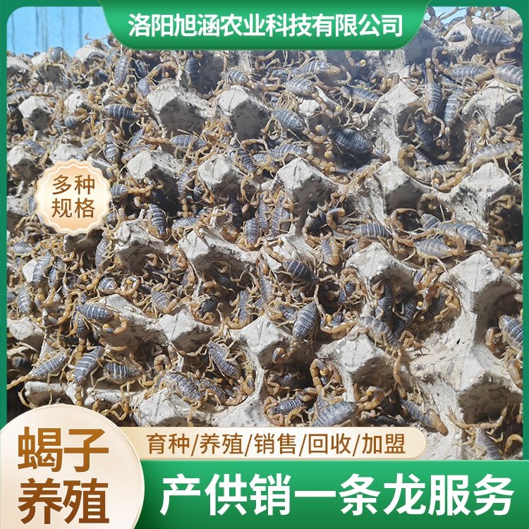 u-1036891070,1400686896-fm-199-app-68-f-JPEG