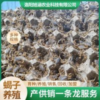 u-1036891070,1400686896-fm-199-app-68-f-JPEG