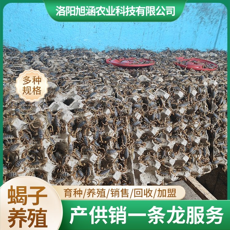 u-4195120042,2013313151-fm-199-app-68-f-JPEG