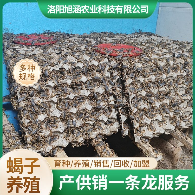 u-2160578825,609957098-fm-199-app-68-f-JPEG