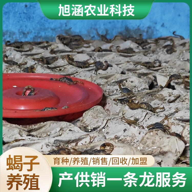 u-3128203010,3733661380-fm-199-app-68-f-JPEG