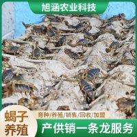 u-1790298076,3794310019-fm-199-app-68-f-JPEG