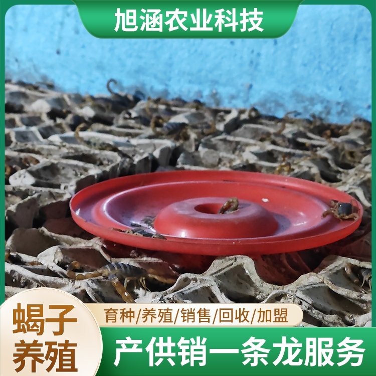 u-3013853970,1276882957-fm-199-app-68-f-JPEG